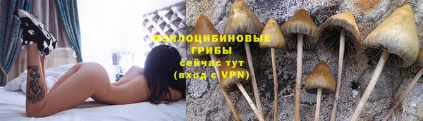 дурь Крымск
