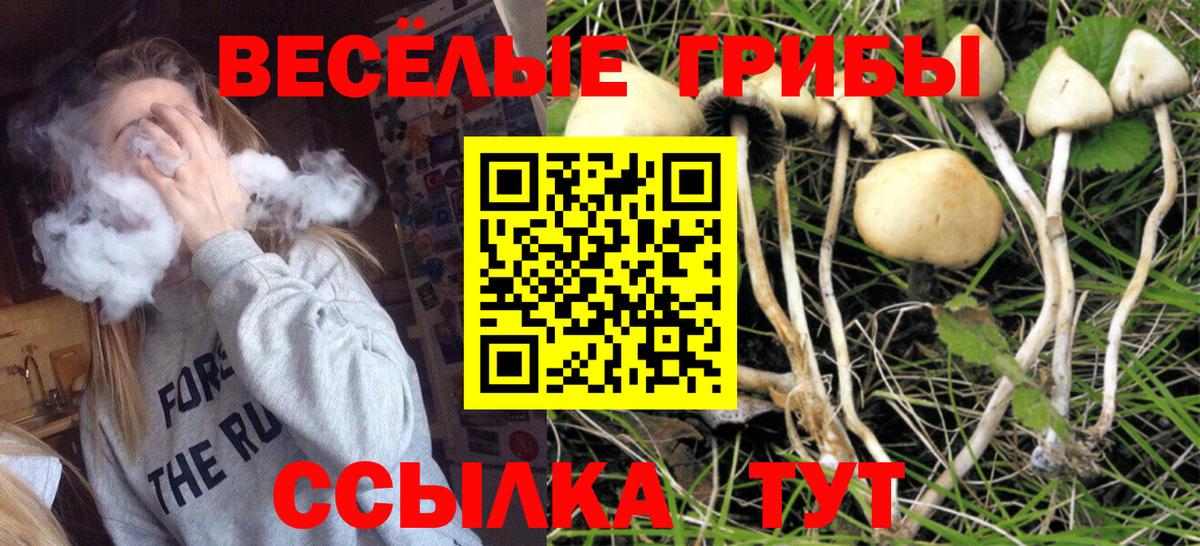 Псилоцибиновые грибы Cubensis Среднеуральск