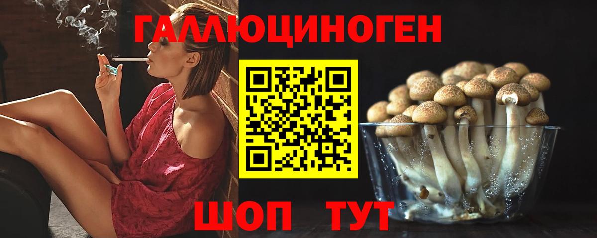 Псилоцибиновые грибы Psilocybe  Галлюциногенные грибы Psilocybe  Среднеуральск  Вход с VPN 